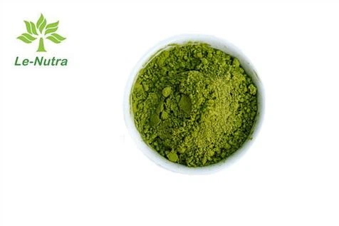 Polvo de turkesterona