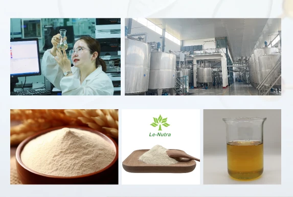 Rice Peptides Powder