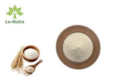 Proteína de arroz hidrolizada