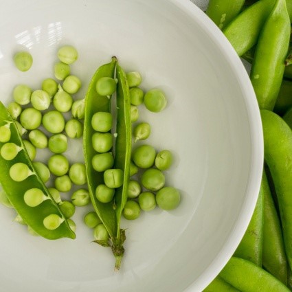 hydrolyzed pea protein powder hydrolyzed pea protein powder